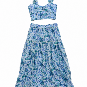 Blue Floral Print Two-Piece Outfit with Cropped Bralette and Maxi Skirt
